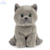 Soft Toy British Blue Shorthair Cat by Living Nature (16.5cm) AN447