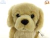 Soft Toy Dog, Golden Retriever by Faithful Friends (23cm)H FGOL03