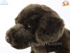 Soft Toy Chocolate Labrador Dog by Faithful Friends (25cm)H FCLAB03