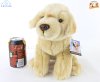 Soft Toy Dog, Yellow Labrador by Faithful Friends (22cm)H FYLAB03