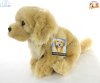 Soft Toy Dog, Golden Retriever by Faithful Friends (23cm)H FGOL03