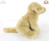 Soft Toy Dog, Yellow Labrador by Faithful Friends (22cm)H FYLAB03