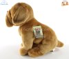 Soft Toy Douge de Bordeaux Puppy Dog by Faithful Friends (23cm)H FDDB03