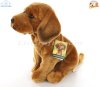 Soft Toy Dog, Hungarian Vizsia by Faithful Friends (25cm)H FHV03