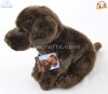 Soft Toy Chocolate Labrador Dog by Faithful Friends (25cm)H FCLAB03