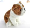 Soft Toy British Bulldog by Faithful Friends (22cm)H FBB07/N