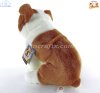 Soft Toy British Bulldog by Faithful Friends (22cm)H FBB07/N