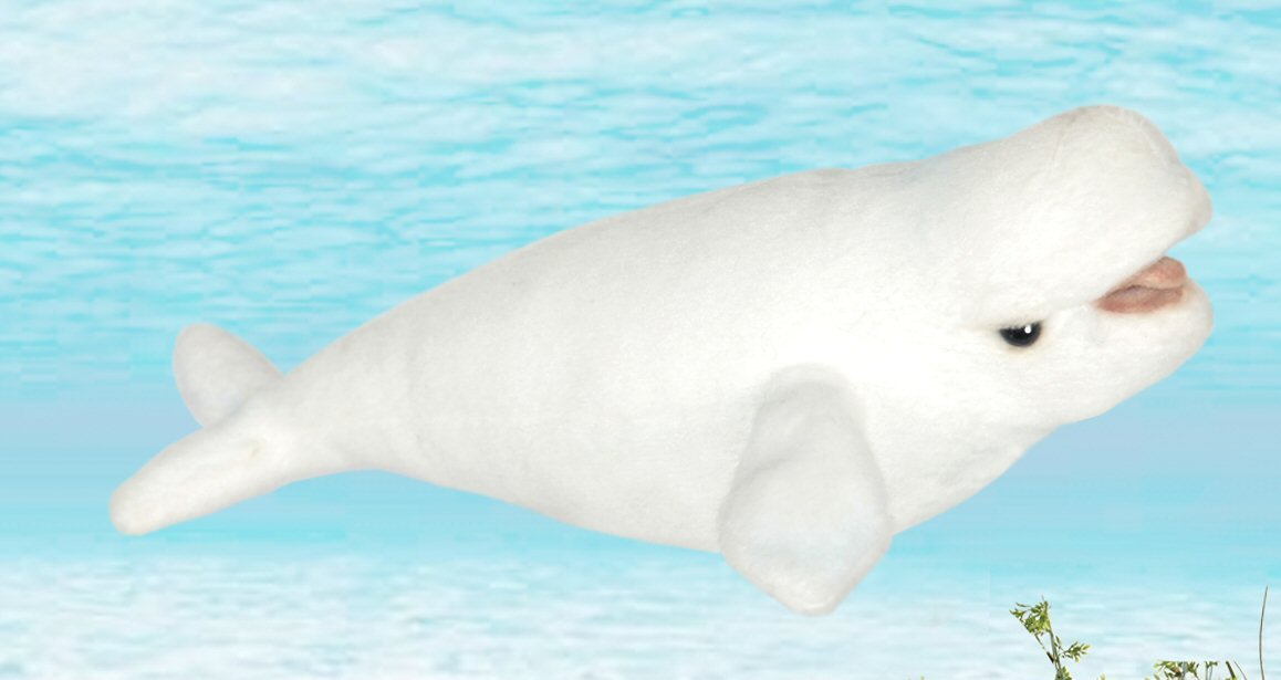 beluga grabber toy