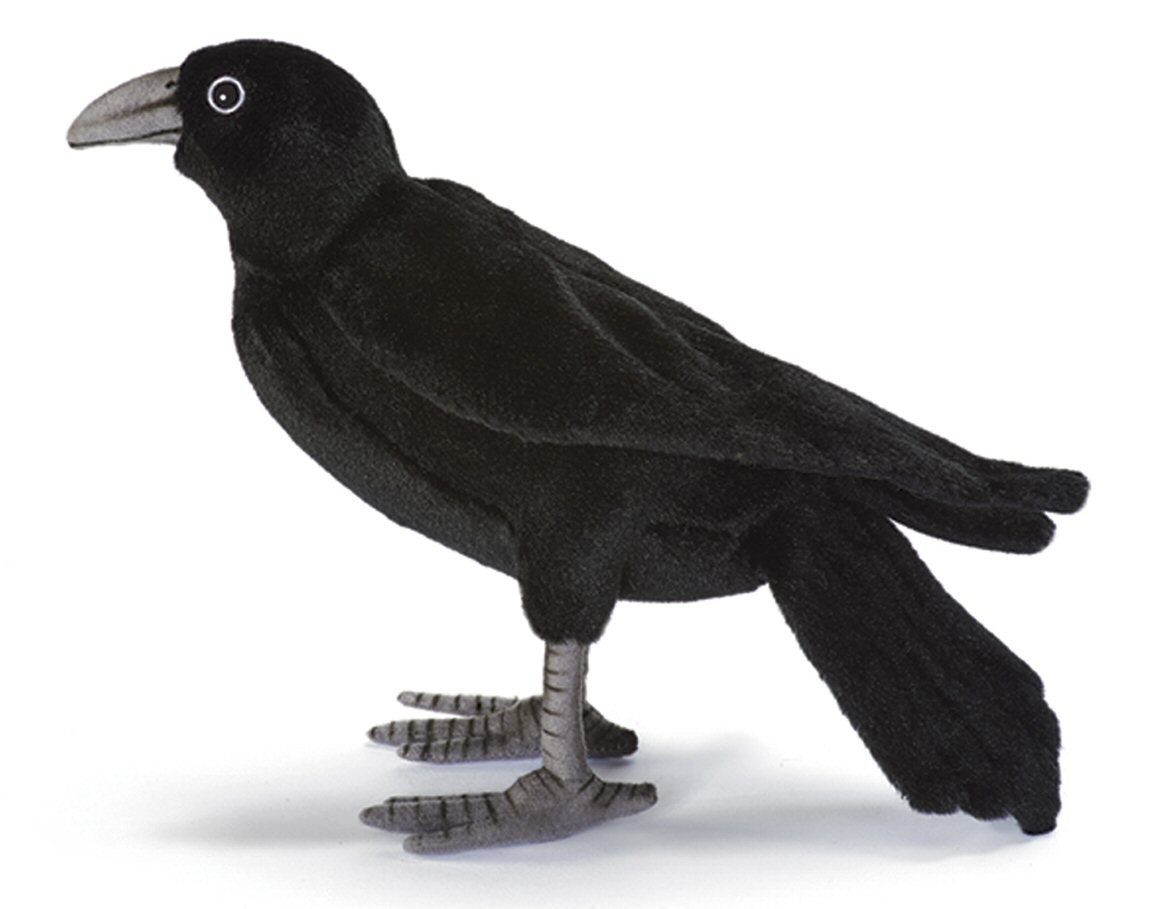 crow soft toy