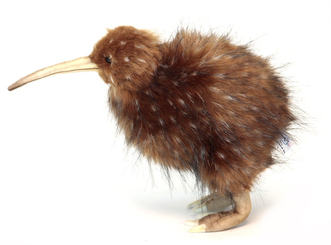 kiwi bird soft toy