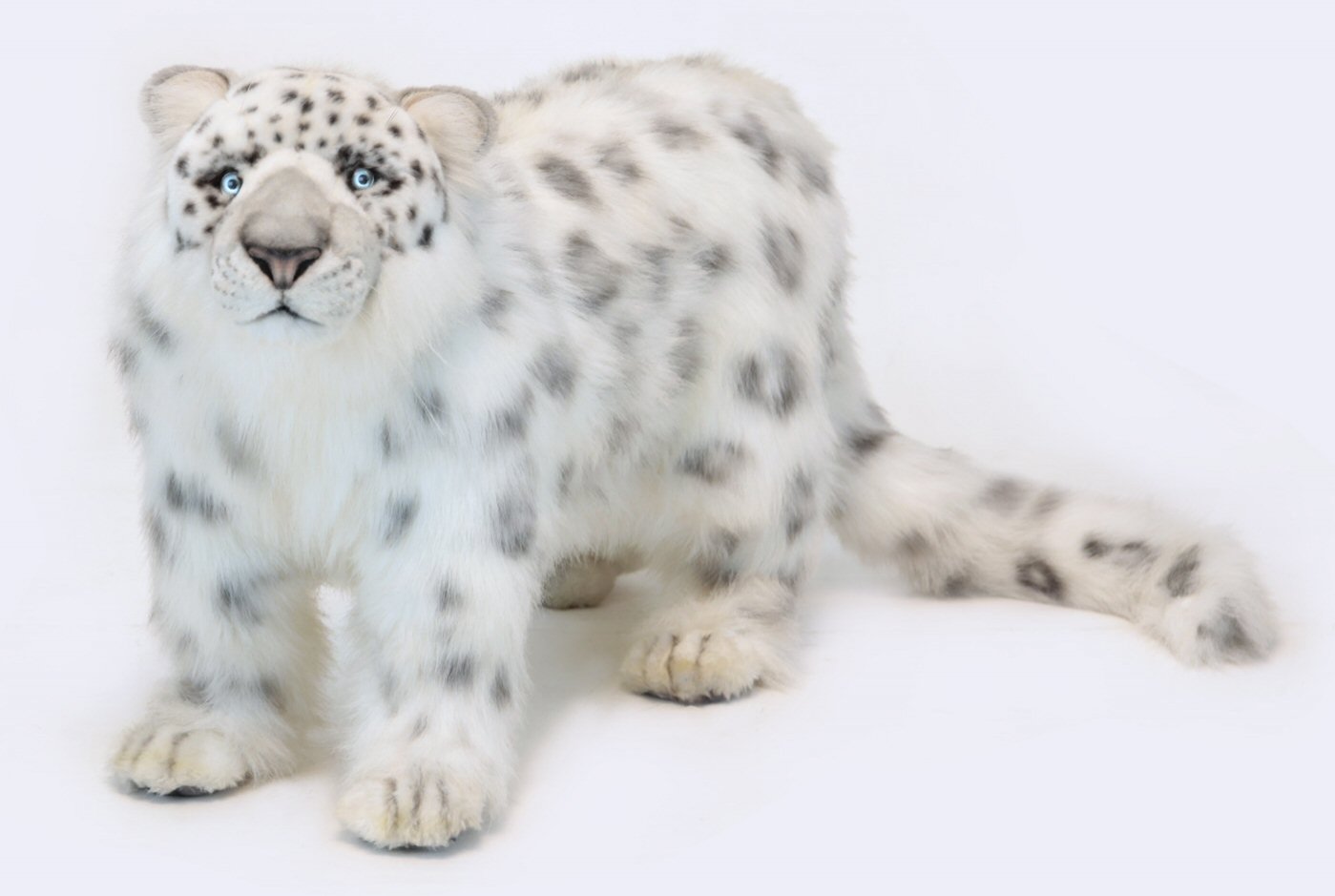 hansa snow leopard