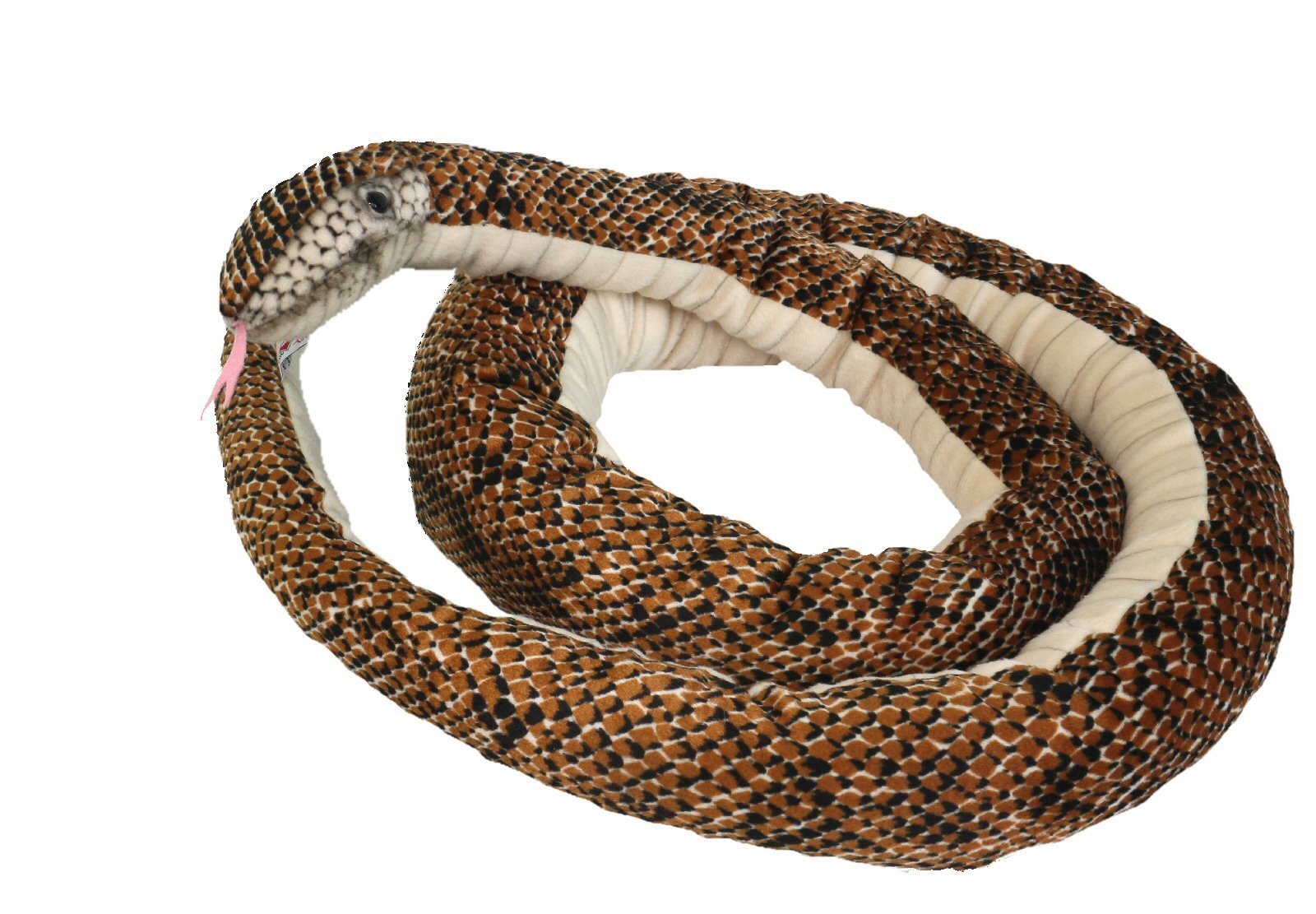 bowa constrictor snake