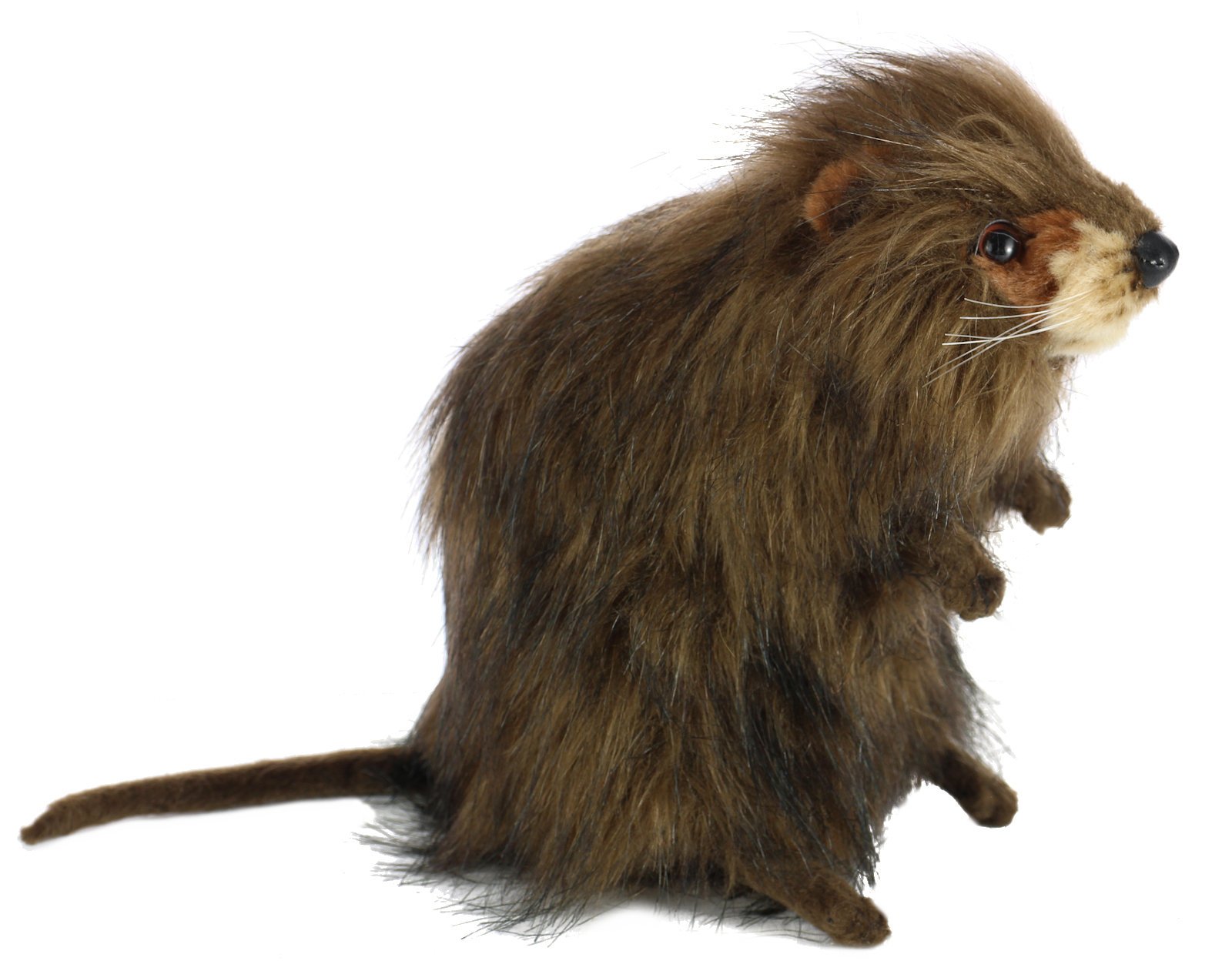 Muskrat store stuffed animal