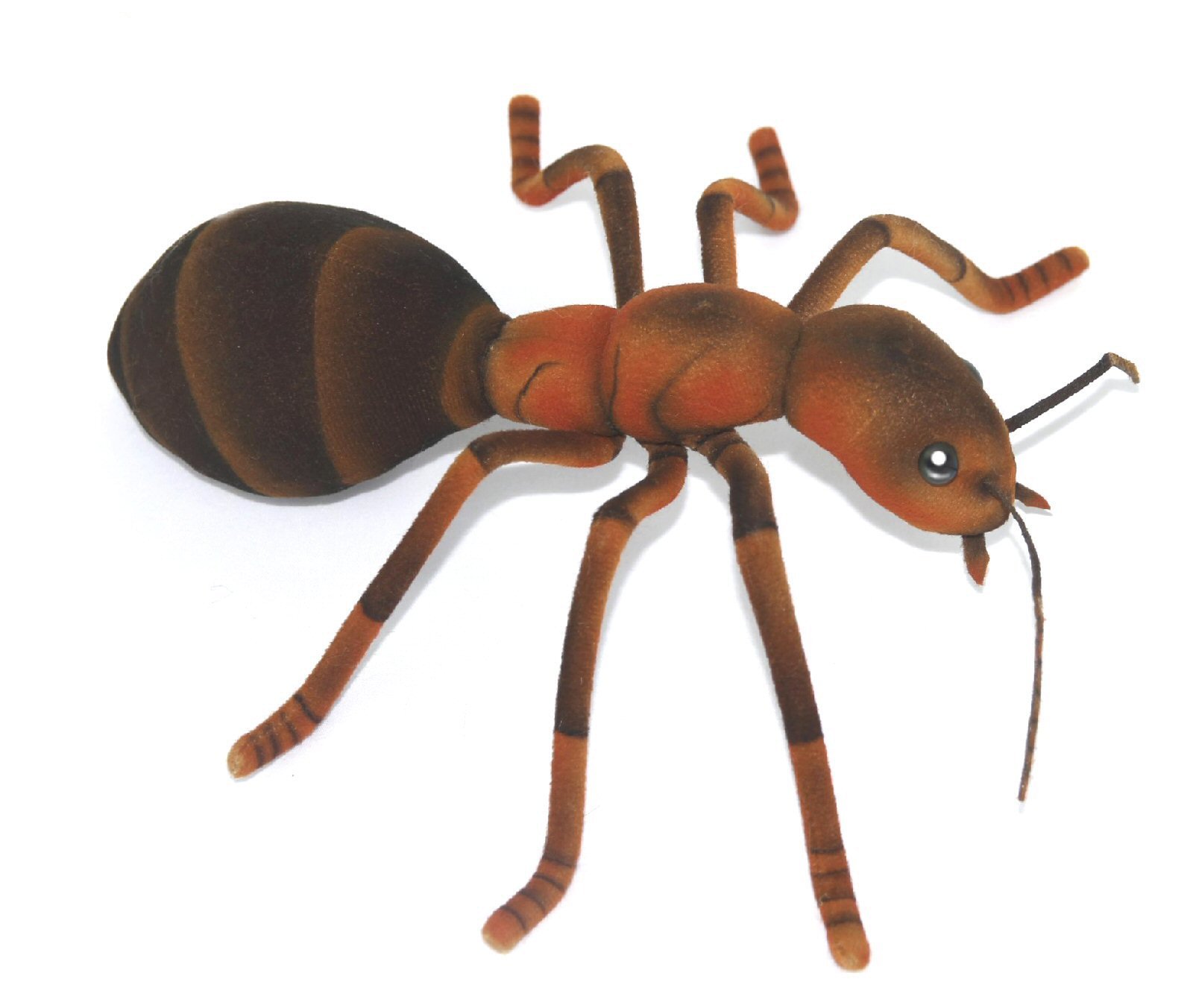 Ant store soft toy