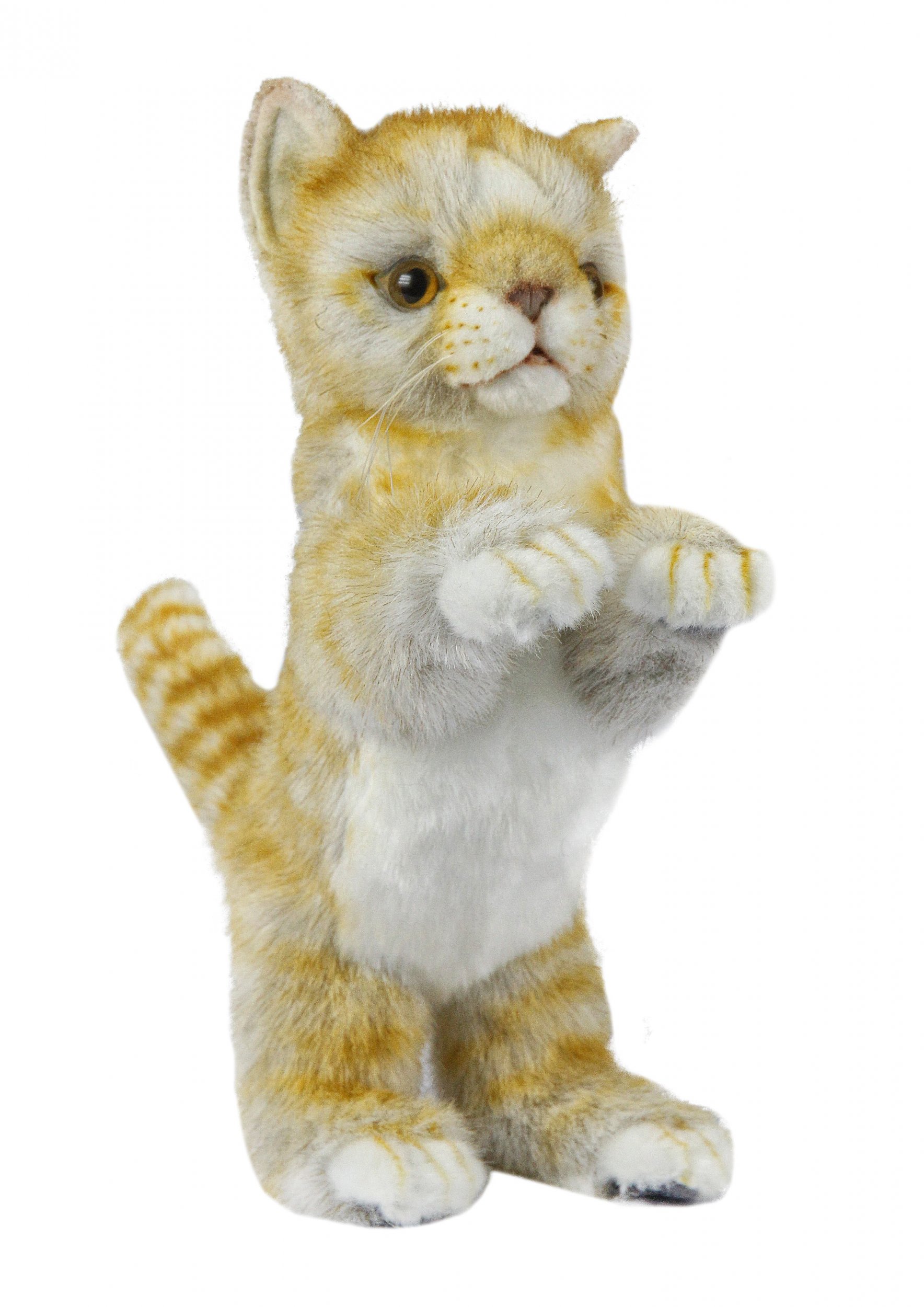 Ginger cat hotsell plush toy