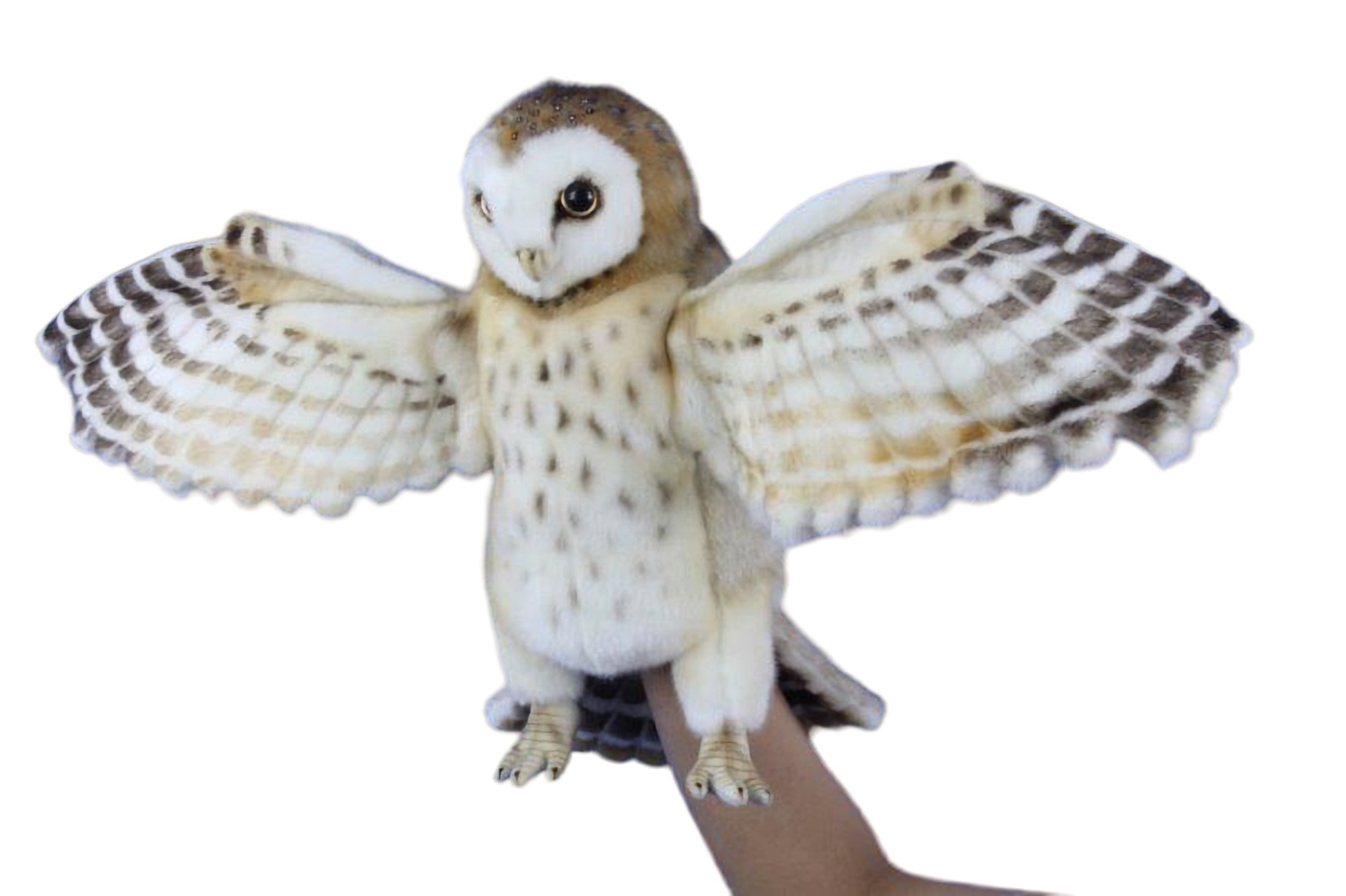 Barn owl soft best sale toy