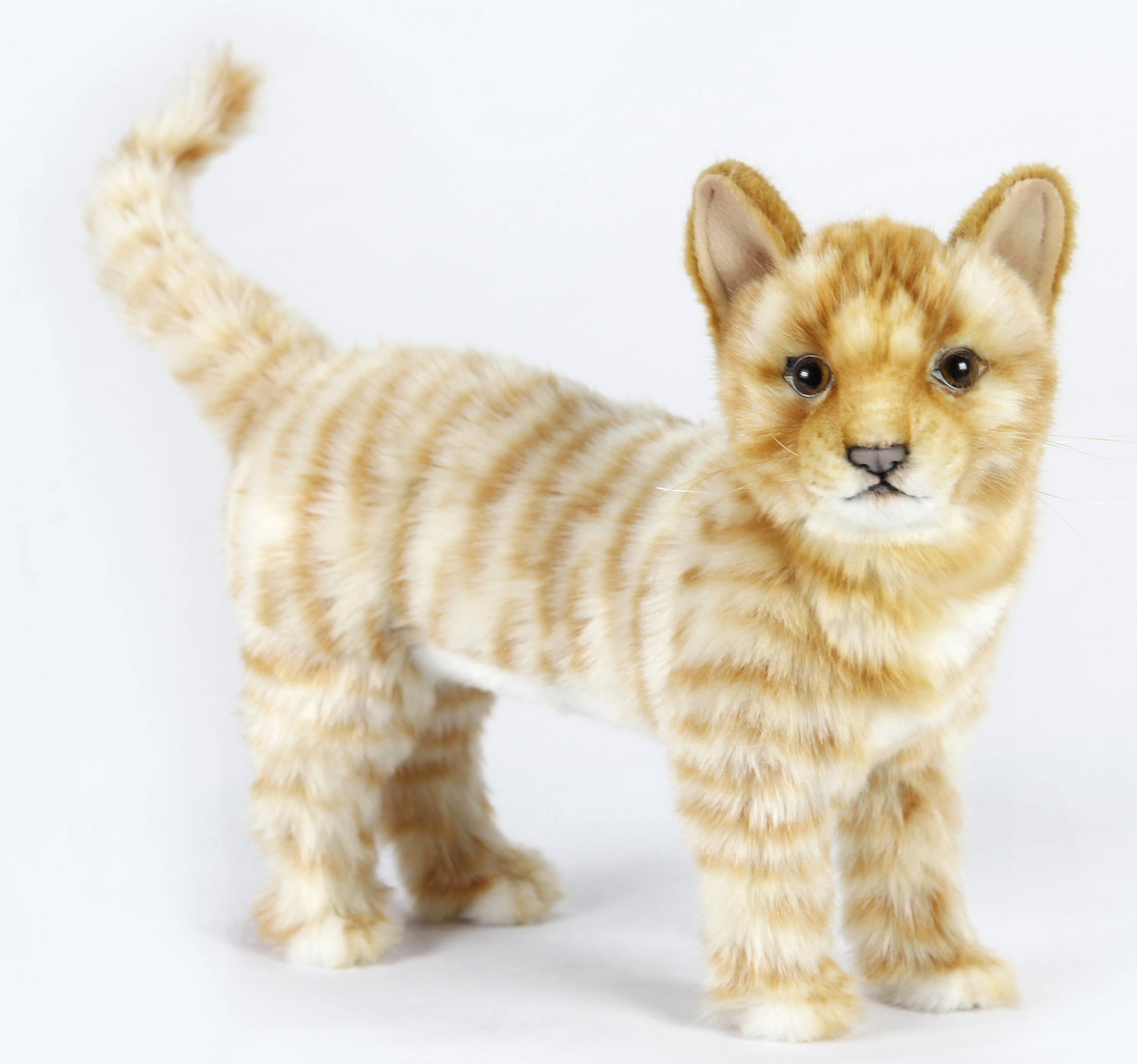 ginger cat soft toy