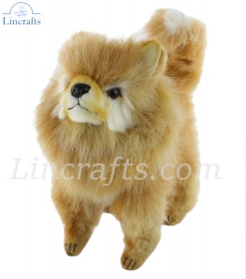 Soft Toy Pomeranian Dog by Hansa (23cm.H) 7591 | Lincrafts