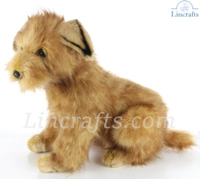 Soft Toy Norfolk Terrier Dog by Hansa (33cm) 3996 | Lincrafts