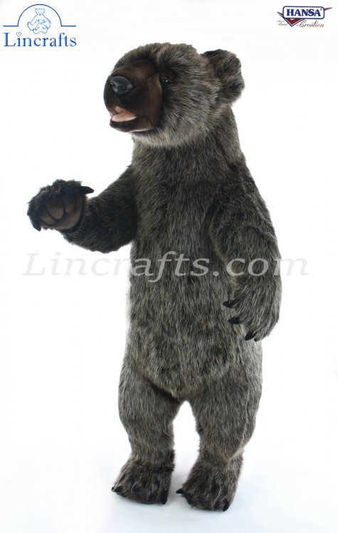 Sun bear soft toy deals