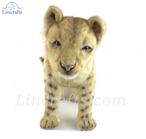 Lion cub stuffed sale animal