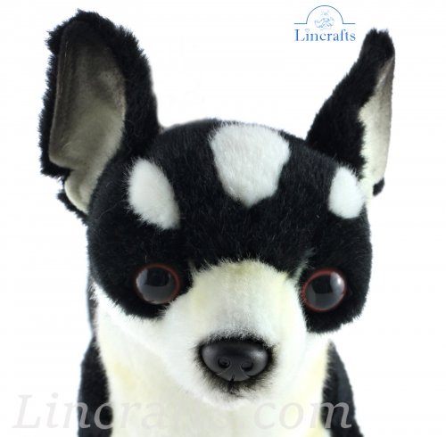 Chihuahua plush best sale