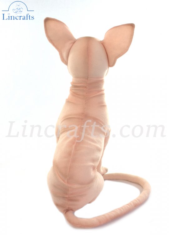 Hairless hotsell cat plush