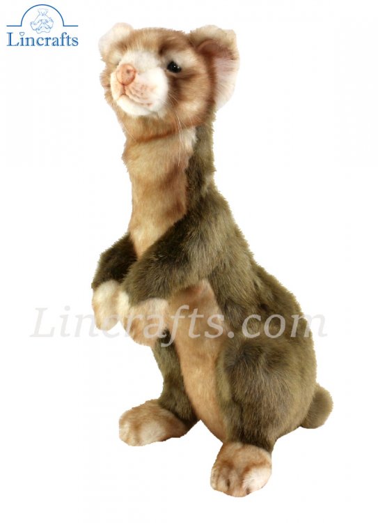 ferret soft toy