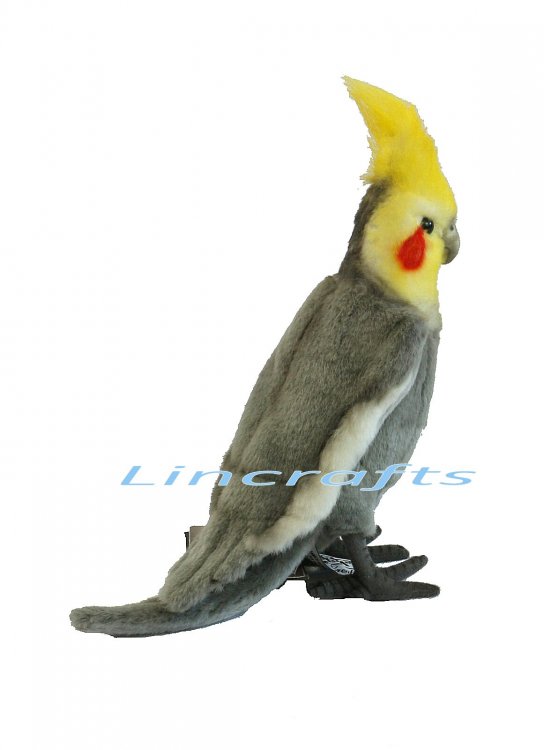 cockatiel soft toy