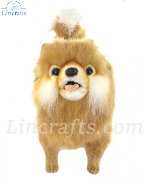 Soft Toy Dog Pomeranian by Hansa 28cm 7018 Lincrafts