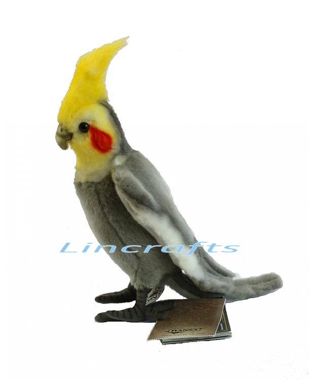 cockatiel soft toy