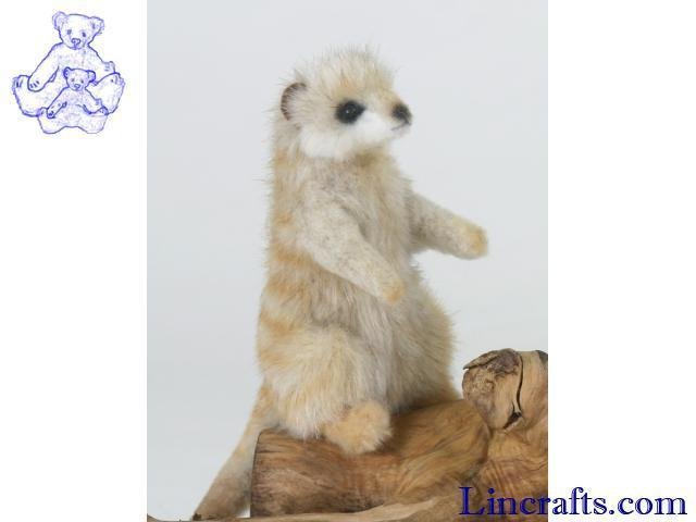 meerkat soft toy
