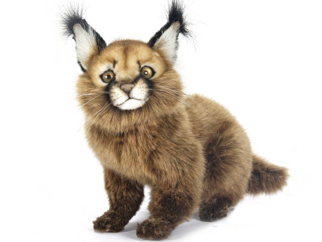 caracal plush