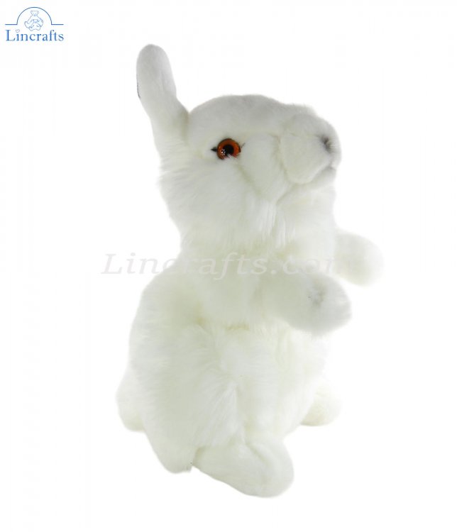 Living nature sales bunny