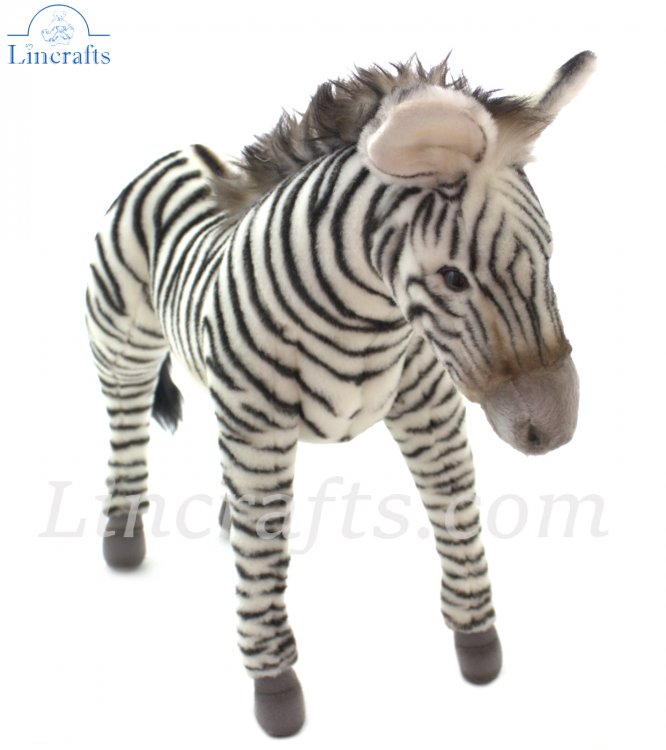 Zebra deals cuddly toy