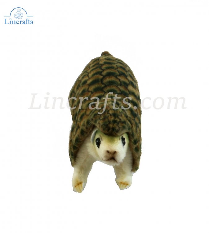 pangolin soft toy