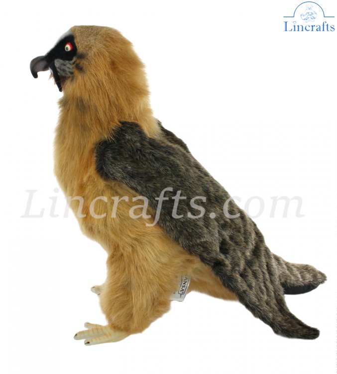 Vulture stuffed clearance animal