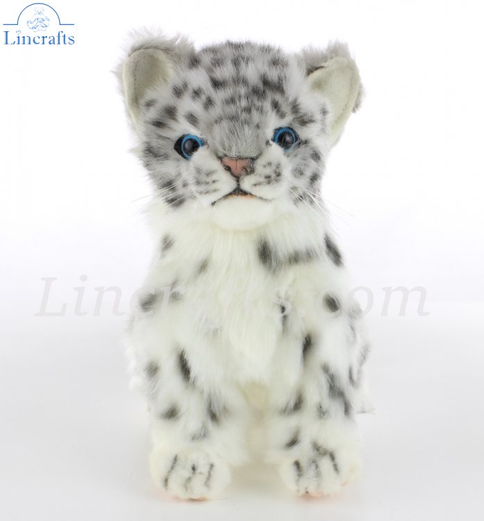 hansa snow leopard cub