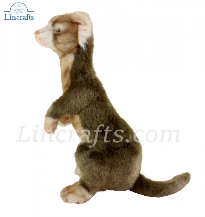 ferret soft toy