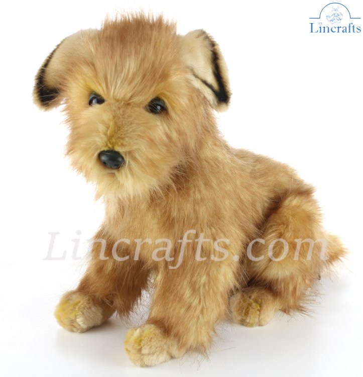 norfolk terrier stuffed animal