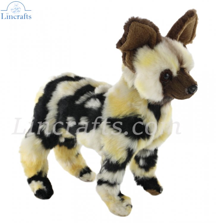 Wild dog best sale plush