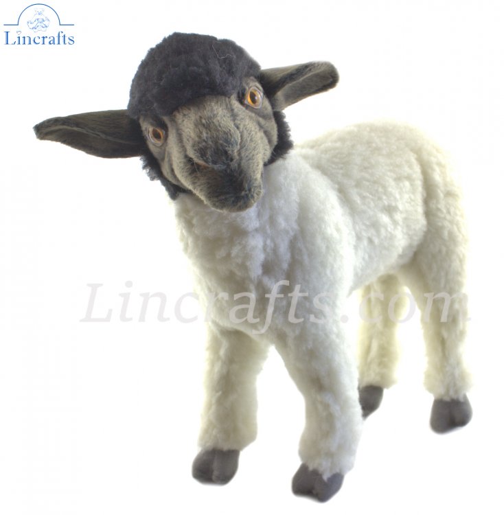 Realistic Stuffed Suffolk Lamb 8