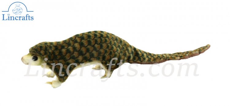 pangolin cuddly toy