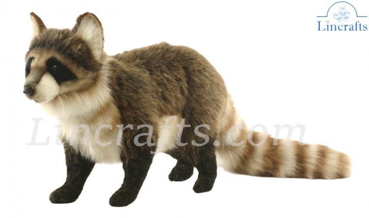 Hansa raccoon hot sale