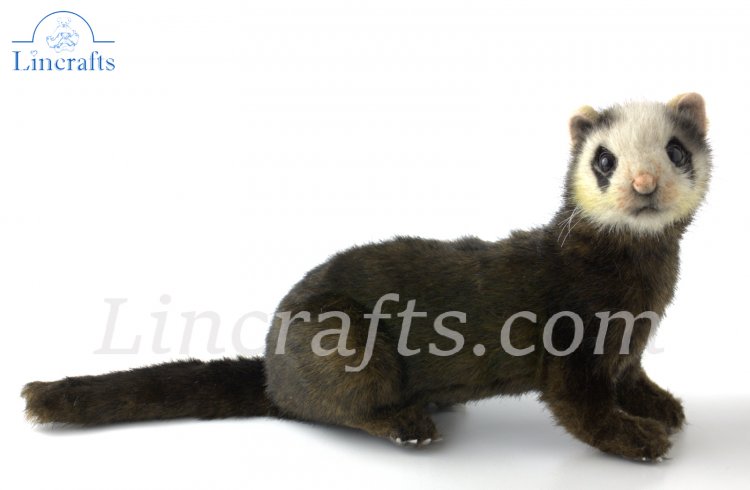 polecat toy