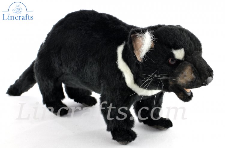 Tasmanian devil stuffed best sale animal