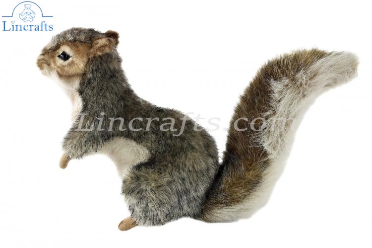 Realistic stuffed deals squirrel