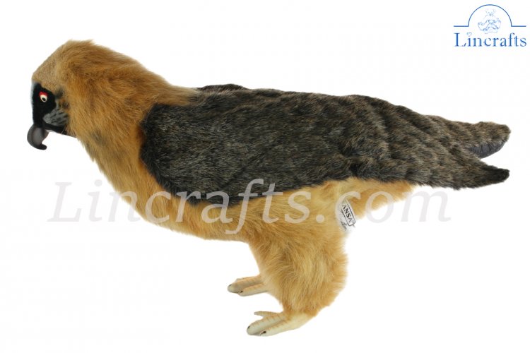 bearded vulture plush