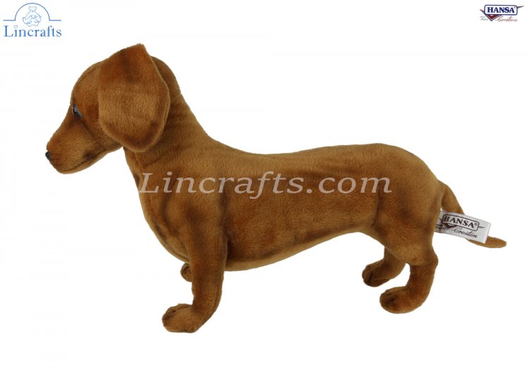 Dachshund cuddly outlet toy