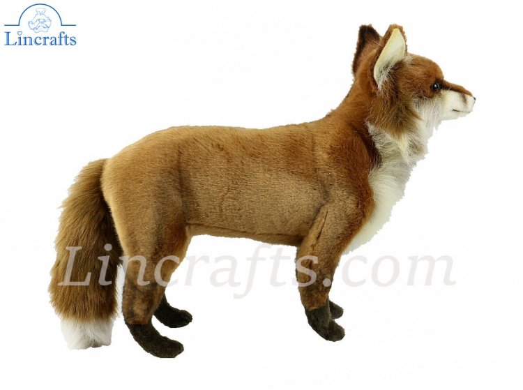 hansa red fox